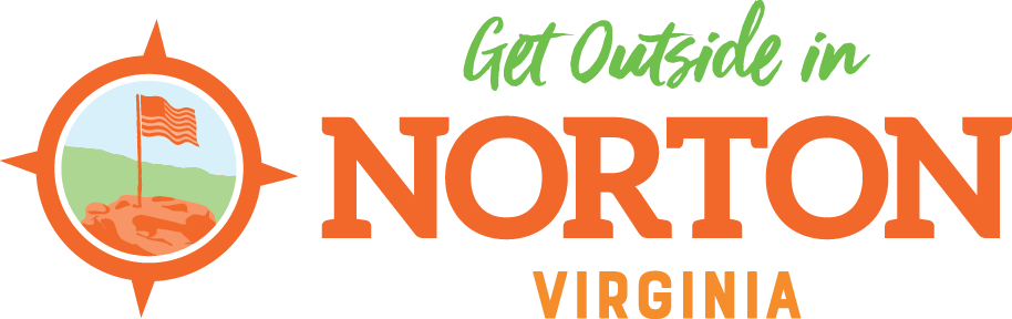 Norton-VA-Icon-Tag_4C